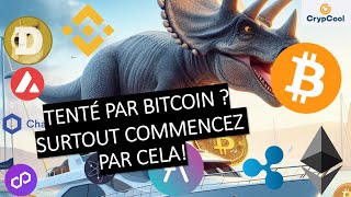 Investir 5% de son portefeuille  dans l&#39;écosystème cryptos (11/11/24)