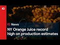 NY Orange Juice record high on new production estimates 🍊