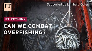 Is it possible to sustainably satisfy the world&#39;s hunger for fish? | FT Rethink