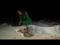 Desde tiburones ballena a dugongos o tortugas carey: la protección de la vida marina en Catar