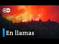 La Patagonia arde tras un seco invierno austral