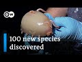 Scientists discover 100 new maritime species off New Zealand | DW News