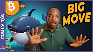 BITCOIN WHALES ARE STACKED FOR A BIG BITCOIN MOVE! [did you act?!]