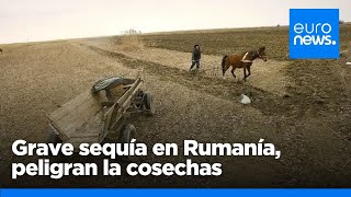 Grave sequía y crisis hídrica y alimentaria en Rumanía debido a la ola de calor