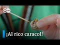 Pequeñas exquisiteces: la fiesta del caracol en Lleida | DW Euromaxx