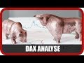 DAX-Analyst Grisse: "Normale technische Gegenbewegung"