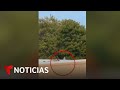 Un video muestra al posible francotirador que atacó a Trump desde un techo | Noticias Telemundo