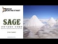 “Buzz on the Street” Show: Sage Potash Corp. (TSX-V: SAGE) Identifies High Grade Potash Resource