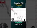 Crude Oil Forecast and Technical Analysis, May 29, 2024 by Chris Lewis  #crudeoil #WTIoil #brentoil