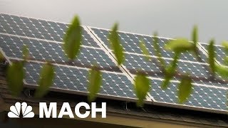 SOLAR POWER INC Why Florida Residents Couldn’t Use Solar Power After Irma Knocked Out The Power | Mach | NBC News