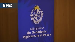 S&U PLC [CBOE] Uruguay expone su plan de agricultura familiar, avalado por la FAO