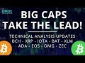 Large Caps Lead the Way Higher! Technical Analysis update for BCH XRP IOTA BAT and more