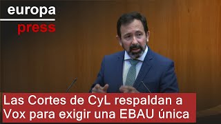 Las Cortes de CyL respaldan a Vox para exigir una EBAU única, con la abstención de PSOE