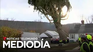 Así cortaron el inmenso árbol de Navidad que esté año adornará al Rockefeller Center