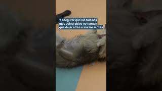 Veterinario gratis para mascotas de gente sin recursos