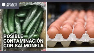 Retiran lotes de pepinos y huevos por posibles brotes de salmonela: estas son las marcas afectadas