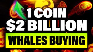 Why are Crypto Whales Buying this #13 Altcoin Right Now?