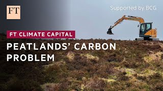 CARBON Carbon problem for damaged peatlands | FT Climate Capital