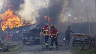 Waldbrände in Portugal: 5.000 Feuerwehrleute im Einsatz