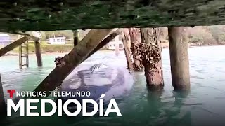 DIA Video del día: Tuvieron que desarmar un muelle para poder salvar a una ballena atrapada