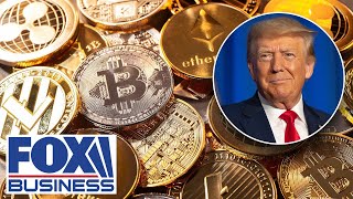 RIPPLE Trump will &#39;make crypto great again&#39; in US, Ripple CEO says