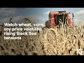 WHEAT - Watch wheat, corn, soy price volatility, rising Black Sea tensions
