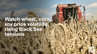 WHEAT Watch wheat, corn, soy price volatility, rising Black Sea tensions