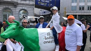 Bruxelles, la protesta dei produttori di latte