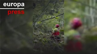 El helicóptero del Gobierno de Cantabria rescata a una yegua que se cayó por un precipicio