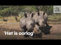 Elke dag sterft een neushoorn in dit Afrikaanse park