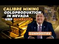 Goldproduktion in Nevada und Nicaragua – eine Erfolgsgeschichte