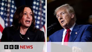 Will Michigan decide the US election result? | BBC News