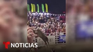 Un toro se sale de control en un rodeo de Oregon y deja a varios espectadores heridos