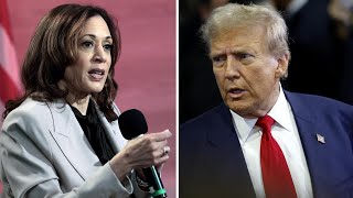 CRITICA LIMITED Mujeres rechazan la crítica a Harris por no tener hijos biológicos. Así lo justifican las trumpistas