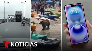 LUNES Videos que impactan este lunes: un puente se desploma y un oso pasea por la playa