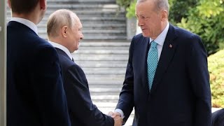 WHEAT Erdogan promete grandes novedades sobre el acuerdo de exportación de grano tras verse con Putin