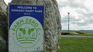 Farm Zero C möchte eine klimaneutrale, gewinnbringende Milchfarm entwickeln – ist das möglich?