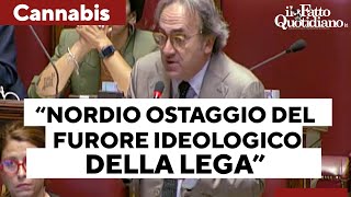 S&U PLC [CBOE] Stretta su cannabis light, Bonelli a Nordio: &quot;È ostaggio del furore ideologico della Lega&quot;