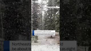 Snow creates Californian winter wonderland