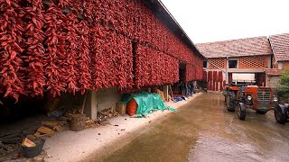 Donja Lokošnica, villaggio rosso serbo, e l&#39;artigianato del tappeto Pirot, patrimonio dell&#39;UNESCO