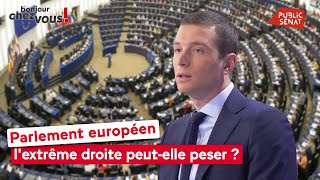 Parlement européen : l&#39;extrême droite peut-elle peser ?