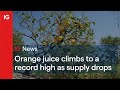 Orange juice climbs to a record high as supply drops 🍊