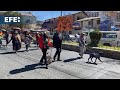 Manifestantes en La Paz exigen endurecer sanciones por maltrato animal