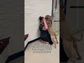 Dog Reunites With His Human After 2 Years Apart