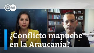 &quot;Hablar de conflicto mapuche no se ajusta a la realidad&quot;