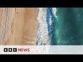 3 D SYS CORP. DL-.001 - Can 3D printed sea walls protect marine wildlife in Miami? | BBC News