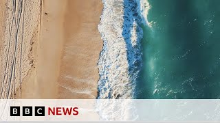 3 D SYS CORP. DL-.001 Can 3D printed sea walls protect marine wildlife in Miami? | BBC News