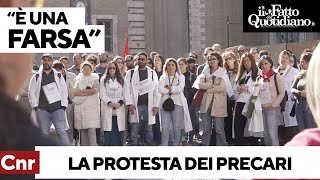 I precari del Cnr in piazza contro il ddl Bernini: &quot;È una farsa, così non verremo mai stabilizzati&quot;