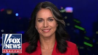 Tulsi Gabbard: Kamala Harris was treated with &#39;kid gloves&#39;