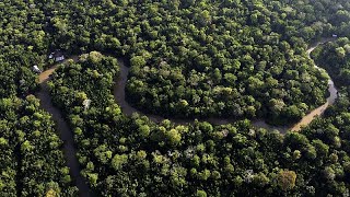 La Commission retarde la mise en œuvre de la loi sur la déforestation à la suite d&#39;un tollé mon…